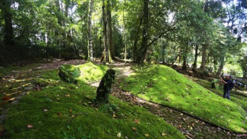 taman nasional cibodas